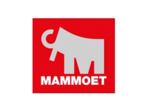 mammoet.com